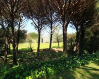 Venta - Casa - Santa Cristina d'Aro - Empordà